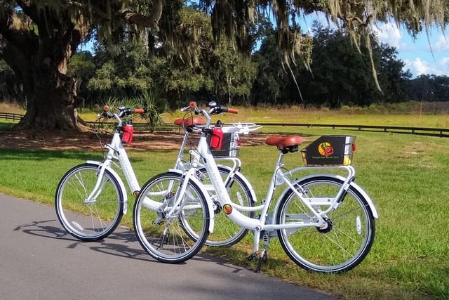 Along the Hogeye Trail in The Villages Step Thru 7 Speed Cruiser Bike. Helmets, locks and bottle cage included.